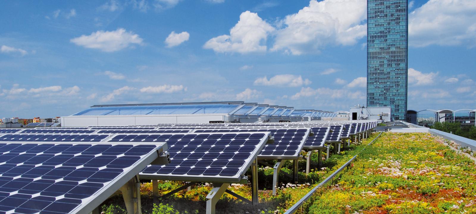La combinazione di pannelli solari e tetto verde estensivo